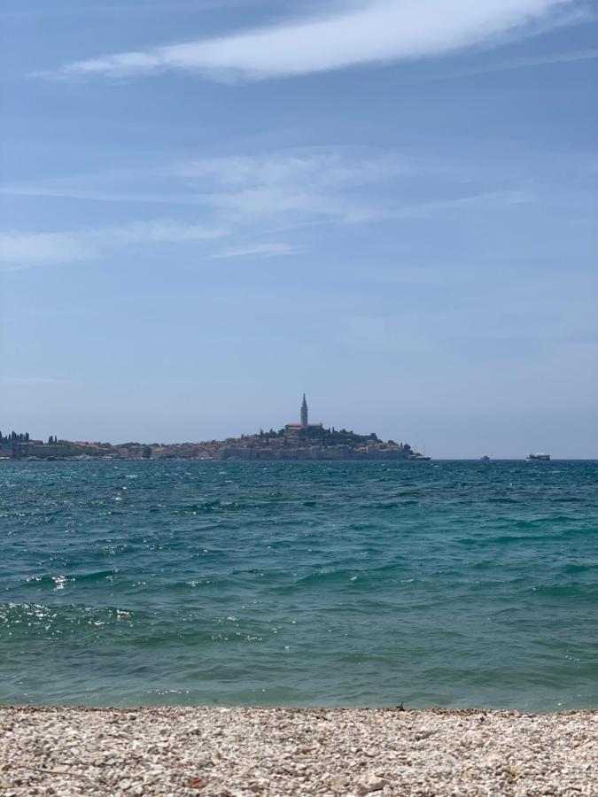 Bed and Breakfast Vila Albatros Rovinj Zewnętrze zdjęcie